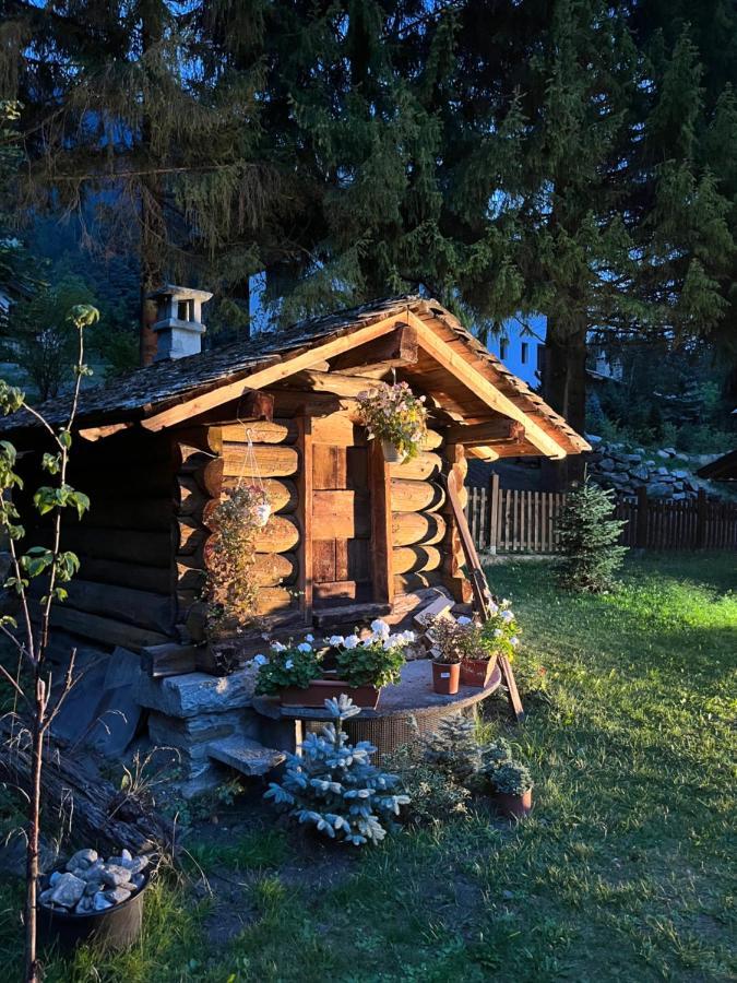 Chalet Blanc Coeur Sapin Courmayeur Eksteriør billede