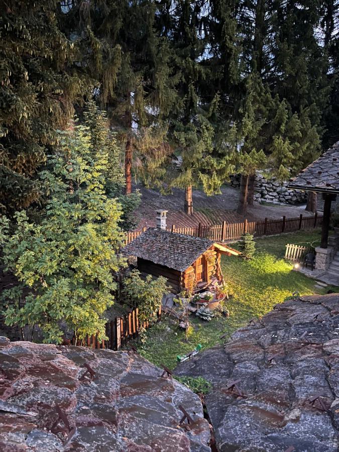 Chalet Blanc Coeur Sapin Courmayeur Eksteriør billede
