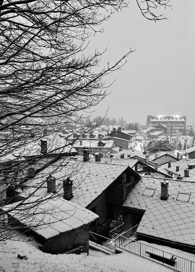 Chalet Blanc Coeur Sapin Courmayeur Eksteriør billede